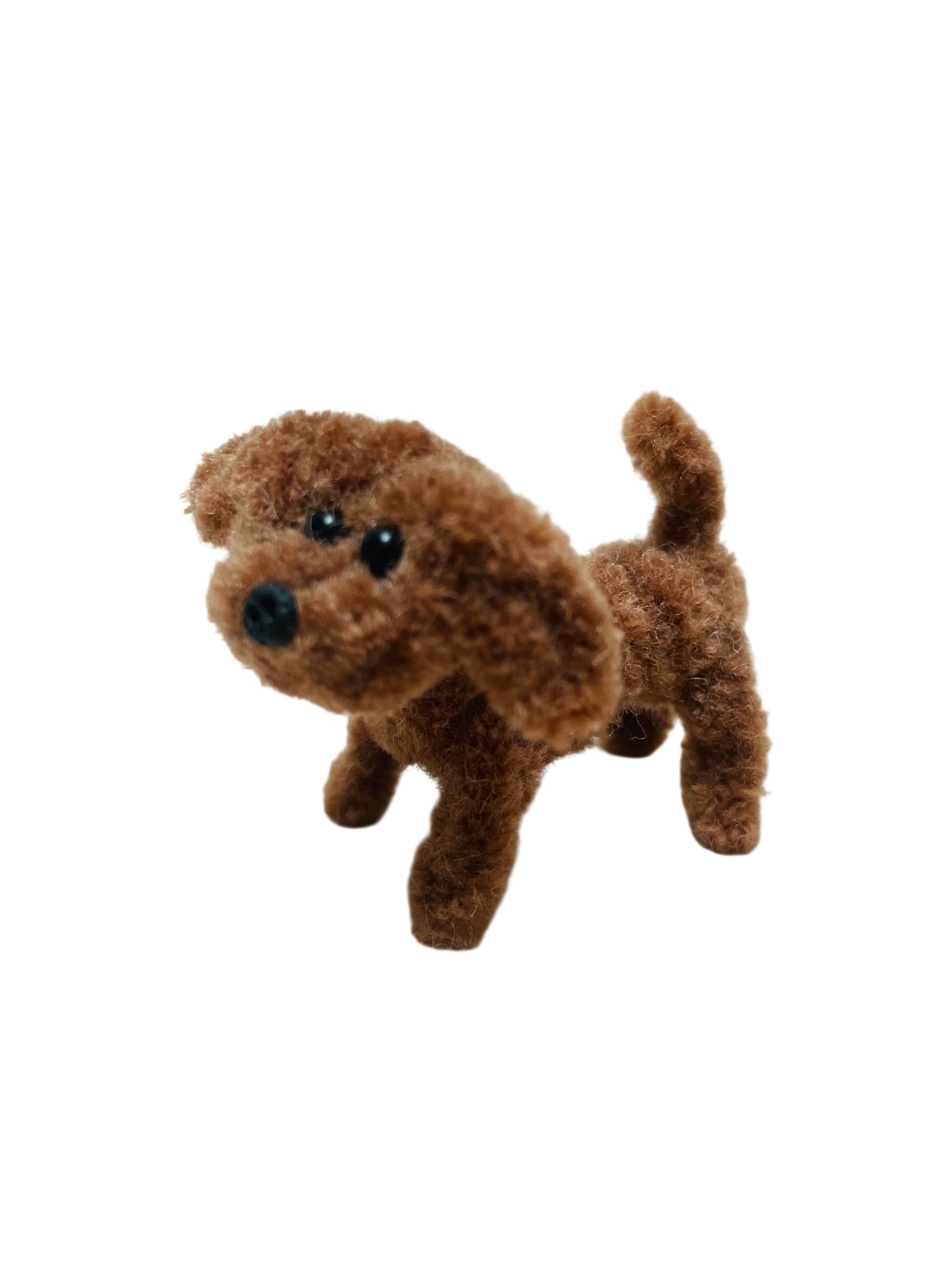 Hund "Keks"