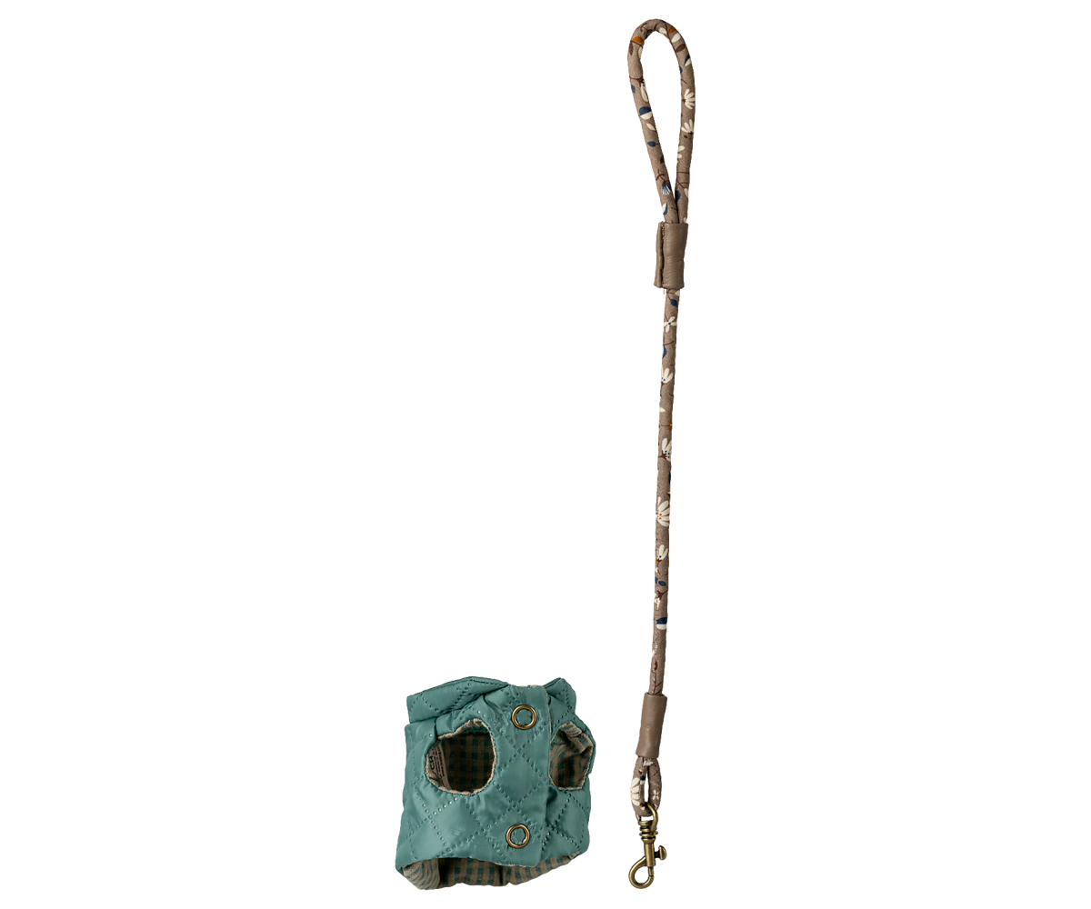 Hundemantel und Leine petrol