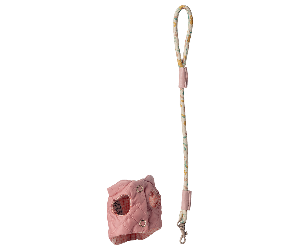 Hundemantel und Leine rose