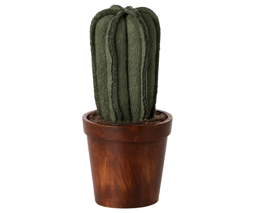 Blumentopf mit Kaktus