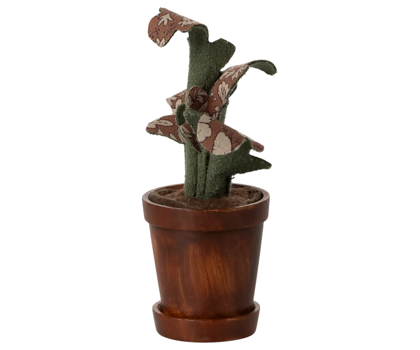 Blumentopf mit Pflanze