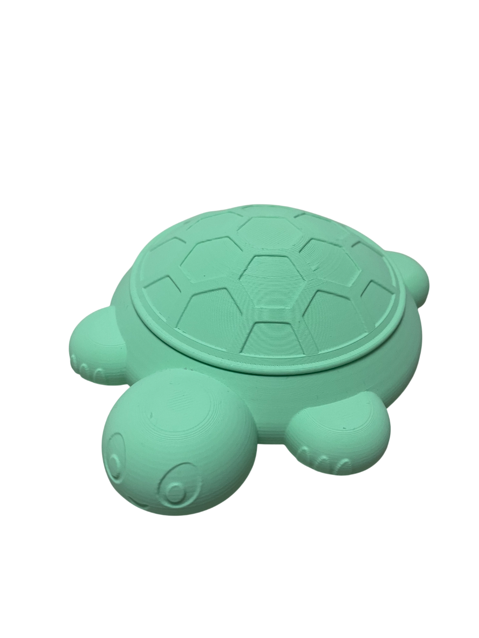 Sandkasten Schildkr&ouml;te